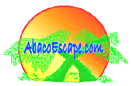 Cross Palm Logo no 3